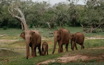 Hambantota